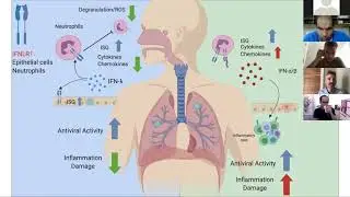 [Achille Broggi ] Type III interferons disrupt the lung epithelial barrier upon viral recogniti