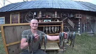 ХУТОР в ЛЕСУ на КРАЮ БОЛОТА. РЫБОЙ Я СЕБЯ ОБЕСПЕЧИЛ ПОЛНОСТЬЮ. №216