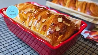 100% sourdough starter into 50% Levito Madre overnight! The most tender sourdough babka!