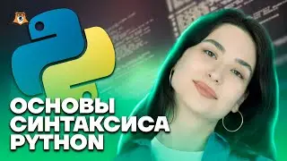 Основы синтаксиса Python | Информатика ЕГЭ для 10 класса | Умскул