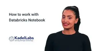 How to work with Databricks Notebook