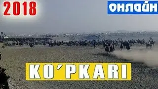 Fargona  viloyati  Sherobot tumanidagi uloq ko'kari