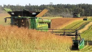 John Deere X9 1000 combines cutting Canola with 45ft. HDX Flex Draper Headers | Harvest 2024