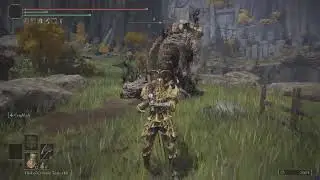 THAT Was Quick (WTF) - Elden Ring