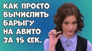 Как вычислить барыгу на Авито? Как посмотреть все объявления продавца?