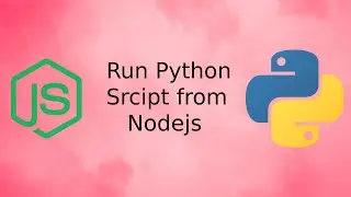 Run Python Script from NodeJS  using child process spawn() method Rest api