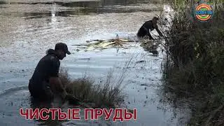 Еще 6 прудов очистят в Солнечногорске до конца октября