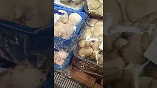 Вот и я наконец-то сходила за грибами😁 