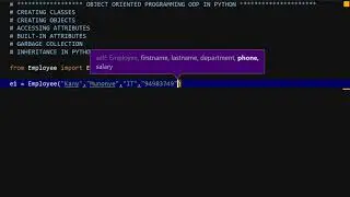 Object Oriented Programming in Python Tutorial 2   Creating an Object