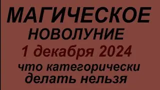 Магическое Новолуние 1 декабря 2024. В чем опасность. Что делать нельзя.