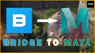 EXPORTING 3D ASSET FROM BRIDGE TO MAYA | VFX VIBE