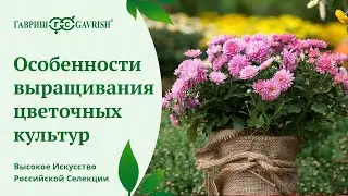 Выращивание цветов на даче. Особенности агротехники