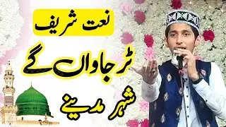 Tur Jawan Gy Shehar Madina By Saqib Nazir Qadri | @Saqibnazirqadri10