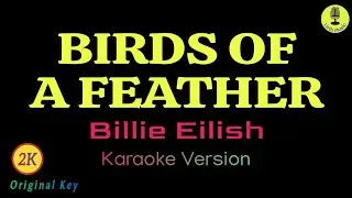 Birds Of A Feather - Billie Eilish (Karaoke 2K Version)