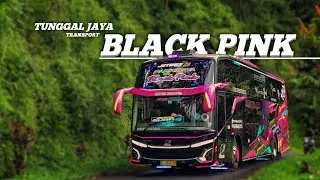 HEBOHKAN BIS MANIA TEGAL !! TELOLET BASURI TUNGGAL JAYA BLACK PINK