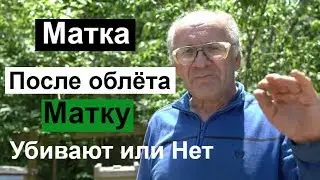 Пасека 