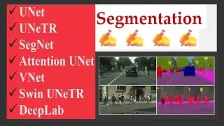 UNet,DeepLab,UNeTR,Swin UNeTR,SegNet