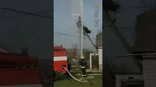 Yuvası Bozulan Leylekler 
