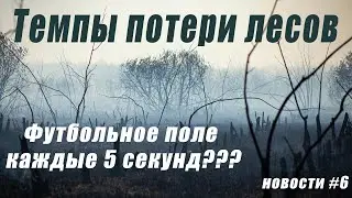 Новости #6: Влияние вейпов на иммунитет, потеря лесов, пыль из кожи?