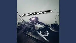 Коллекция душ