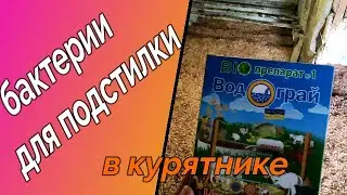 🐓🦆 🦃 🐔🥚 ЗАПУСК ФЕРМЕНТАЦИОННОЙ ПОДСТИЛКИ ДЛЯ КУР. ВОДОГРАЙ+ЧИСТЫЙ ХЛЕВ