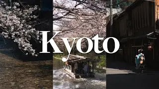 Making The Most Of What We've Got In Kyoto — Kyoto Photography Vlog