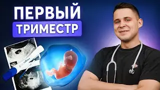 1-12 неделя беременности: Что необходимо знать о первом триместре?