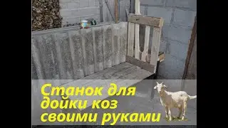 Станок для дойки коз своими руками.