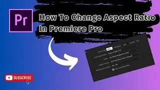 How to change aspect ratio in premiere pro (Step By Step) 2024