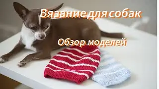Вязание для собак: обзор моделей
