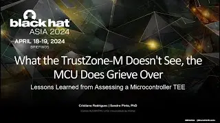 What the TrustZone-M Doesn't See, the MCU Does Grieve Over: Lessons Learned