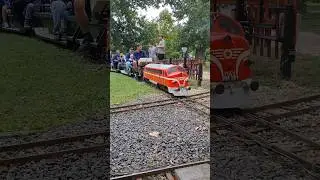 Nohab pulling some passangers #shorts #trains #rideonrailway #sevenandquarter