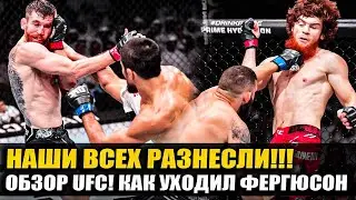 НАШИ РАЗНЕСЛИ! ОБЗОР UFC Абу-ДАби: Умар Нурмагомедов, Кори Сэнхаген, Шара Буллет, Тони Фергюсон