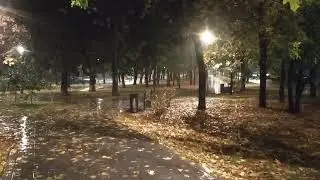 Кассандра поливает ночной город