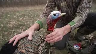 AvianX Bass Pro Shops Exclusive Turkey Set