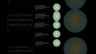 Transform & Transition property in css 