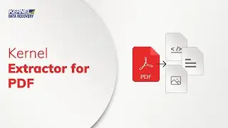 Simplify PDF Data Extraction with Kernel PDF Extractor: A Complete Tutorial