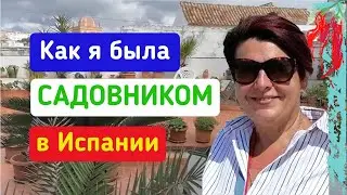 Испанские истории. Что такое хауз ситтинг и с чем его едят