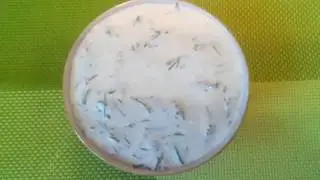 Sour cream sauce sour cream & garlic sauce