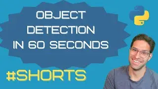 Object Detection in 60 Seconds using Python and YOLOv5 #shorts