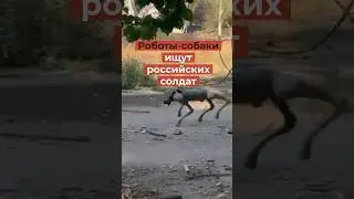 Как роботы ищут русских