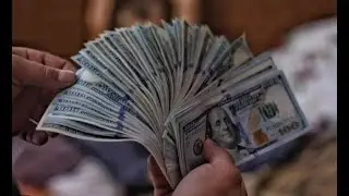 Инвестиции с Trader Income. Пассивный доход
