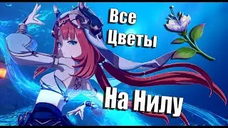 💚Собрать все цветы для Нилу | Удобный маршрут по сбору всех Падисар для Нилу | Материал Возвышения💚