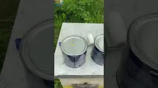 Купил краску! Начинаем красить улья! 