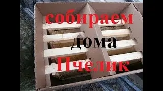 пакет для перевозки пчёл на 4 (6) рамках