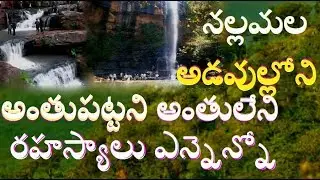 నల్లమల అడవుల్లోని రహస్యాలు  Secrets in Nallamala Forests //Secrets Behind Shiva Temples//Saleshwaram