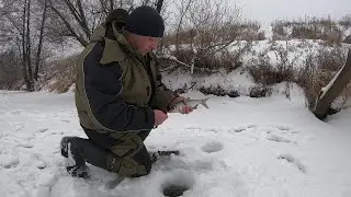 ПЛОТВА,ОКУНЬ НА МОРМЫШКУ. РЫБАЛКА СО ЛЬДА НА РЕКЕ.ПЛОТВА РВЁТ ЛЕСКУ.