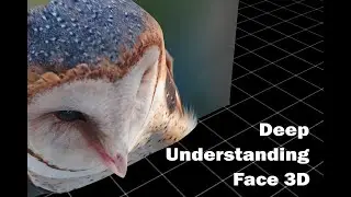 Face 3D for After Effects Deep Understanding Tutorial