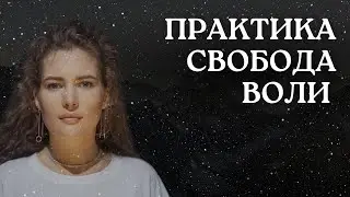 РАССТАНОВКА. ВОЛЯ.