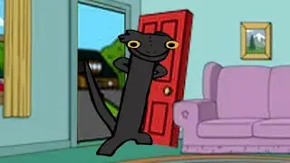 Toothless COME IN